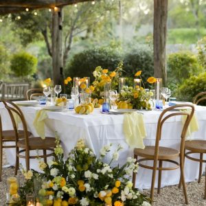 Organisation mariage terrasse restaurant Valbonne